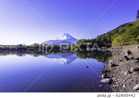 【山梨県】精進湖の湖畔から望む、富士山 【山梨県】精進湖の湖畔から望む、富士山 62600442