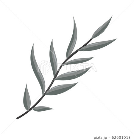 Hand drawn tree branches Grey leaves Vector 62601013