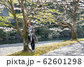 平和な春２ 62601298