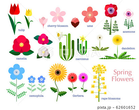 春の花のシンプルイラストセットのイラスト素材