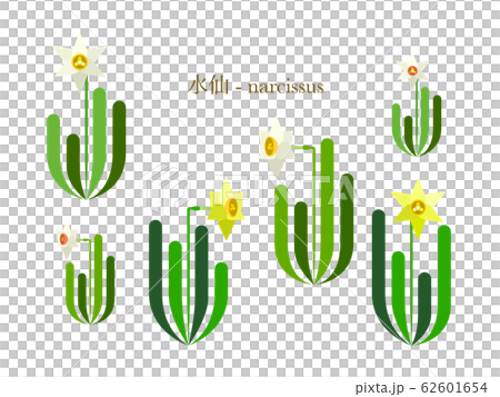 水仙のシンプルイラストのイラスト素材