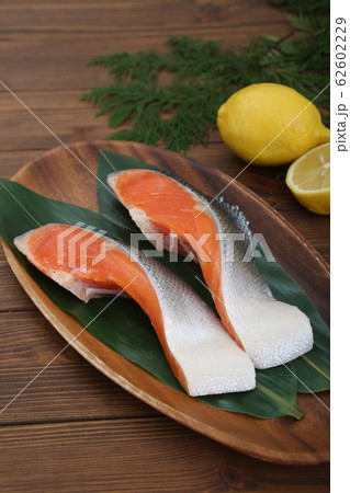 鮭 鮭 62602229
