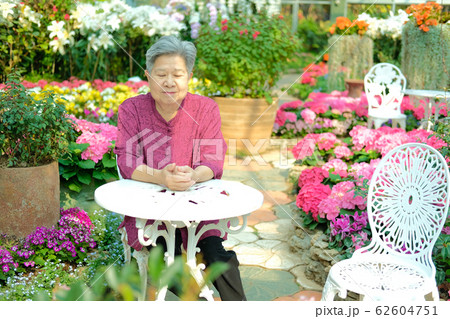 old elder woman resting in flower garden. elderly old elder woman resting in flower garden. elderly 62604751