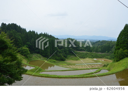 美しい棚田（大分県） 62604956