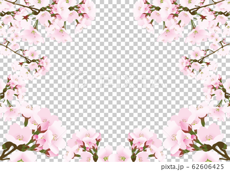 桜 フレーム 白背景のイラスト素材