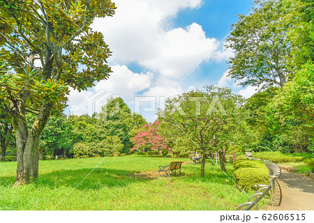 羽根木公園 62606515