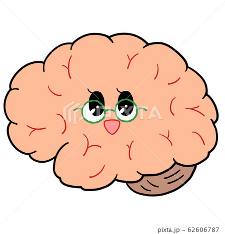 脳　医療　解剖 62606787