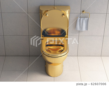 Golden toilet bowl in wc. 62607006