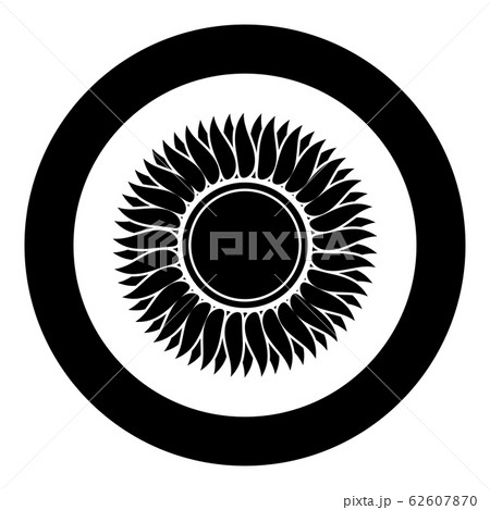 Sunflower flower Sun icon in circle round black Sunflower flower Sun icon in circle round black 62607870