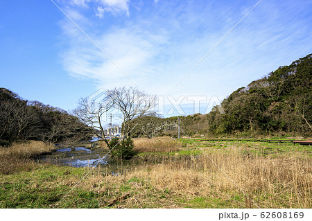 湿原 湿原 62608169