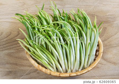 wild garlic sprouts in a wicker basket on a wooden background closeup wild garlic sprouts in a wicker basket on a wooden background closeup 62609365