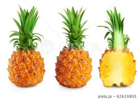 pineapple isolated on white background with clipping path and full depth of field 62610803