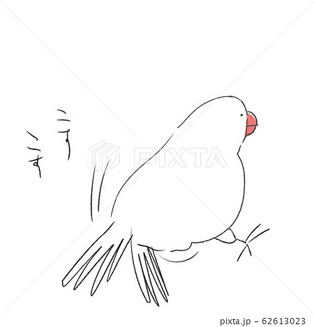 発情 オス 文鳥 白文鳥のイラスト素材