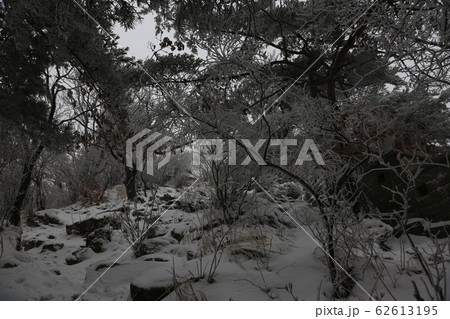 北朝鮮産 城壁 建築物 62613195