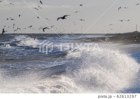 荒れた海 62613297