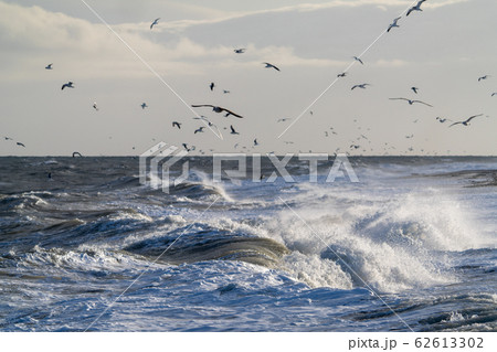 荒れた海 荒れた海 62613302