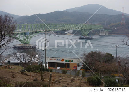 周防大島大橋と大島みかん 62613712