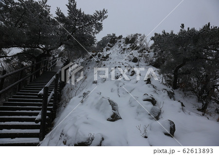 松 雪景色 冬の木 62613893