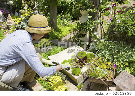 ガーデニングイメージ 女性 ガーデニングイメージ 女性 62615359