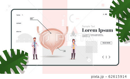 doctors couple inspecting checking urinary bladder human internal organ examination treatment healthcare medicine concept full length copy space horizontal doctors couple inspecting checking urinary bladder human internal organ examination treatment healthcare medicine concept full length copy space horizontal 62615914