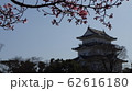 快晴のお城 62616180