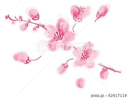サクラ 桜 さくら 花 桜の花 キレイ うめ 梅の花 和風 イラスト 美しい 可愛い 墨絵 優美 おのイラスト素材