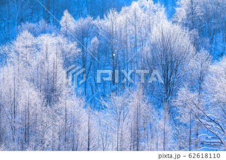 《北海道》霧氷とダイヤモンドダスト・冬の美瑛 《北海道》霧氷とダイヤモンドダスト・冬の美瑛 62618110