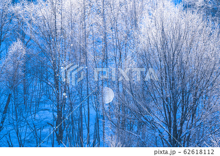 《北海道》霧氷とダイヤモンドダスト・冬の美瑛 62618112
