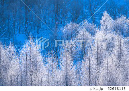 北海道 霧氷とダイヤモンドダスト 冬の美瑛の写真素材