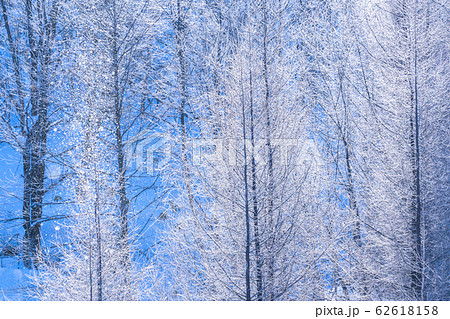 《北海道》霧氷とダイヤモンドダスト・冬の美瑛 62618158