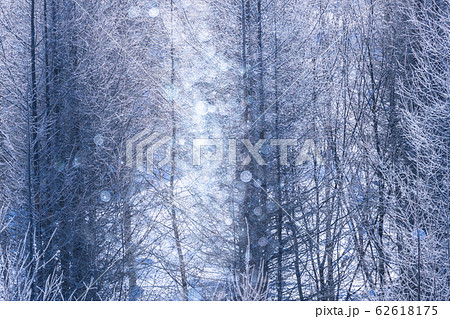 北海道 霧氷とダイヤモンドダスト 冬の美瑛の写真素材