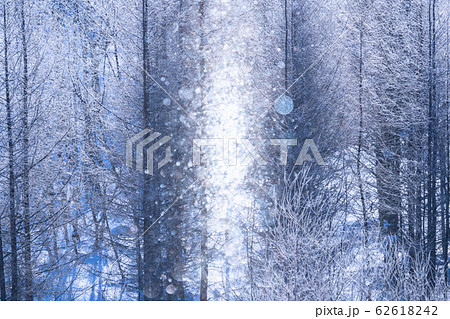 北海道 霧氷とダイヤモンドダスト 冬の美瑛の写真素材