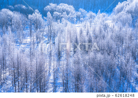 北海道 霧氷とダイヤモンドダスト 冬の美瑛の写真素材