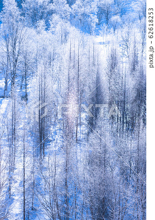 北海道 霧氷とダイヤモンドダスト 冬の美瑛の写真素材