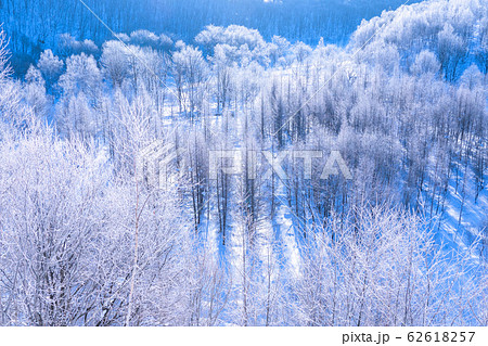 北海道 霧氷とダイヤモンドダスト 冬の美瑛の写真素材