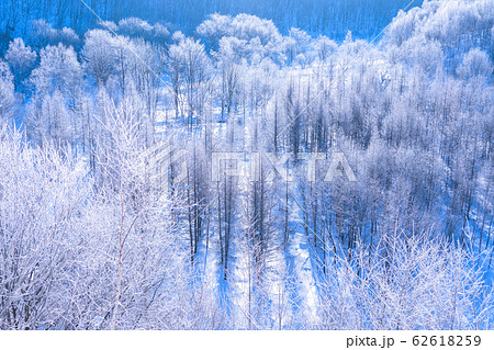 北海道美瑛町の風景 A4写真プリント ガラス入り額装 ～ダイヤモンドダスト～ 美瑛のダイヤモンドダスト - アキジージ写真館（風景写真）