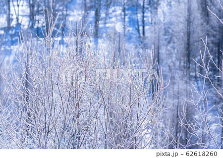 《北海道》霧氷とダイヤモンドダスト・冬の美瑛 62618260