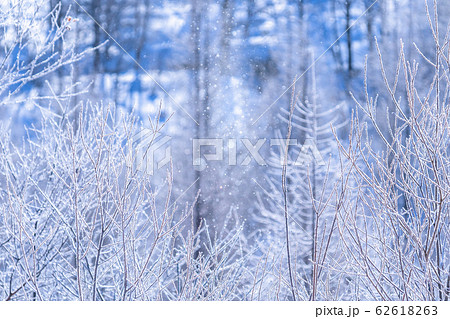 北海道 霧氷とダイヤモンドダスト 冬の美瑛の写真素材