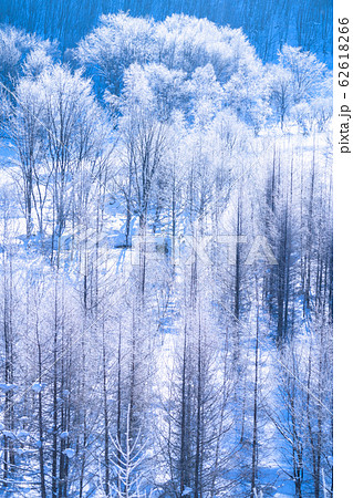 《北海道》霧氷とダイヤモンドダスト・冬の美瑛 62618266