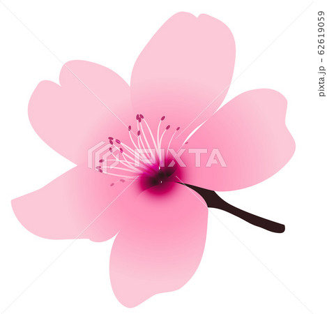 桜 春 花 アイコンのイラスト素材 桜 春 花 アイコンのイラスト素材