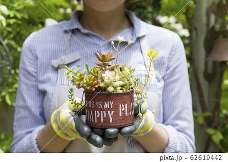 リメ缶に入れた多肉植物を持つ女性手元　ガーデニングイメージ 62619442