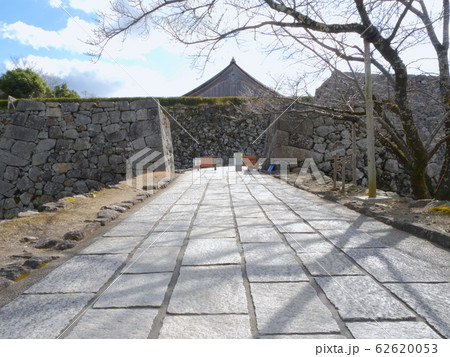 篠山城跡、大書院と表門「重要伝統的建造物群保存地区」「国指定史跡」 62620053