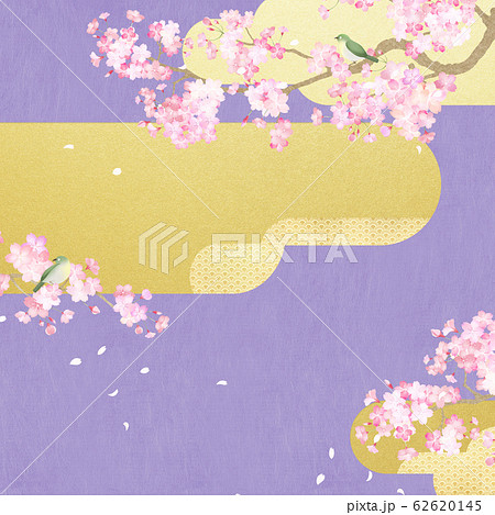 背景 和 和紙 和風 和柄 春 桜 紫 金 日本 メジロのイラスト素材