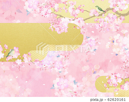 背景 和 和紙 和風 和柄 春 桜 ピンク 金 メジロのイラスト素材