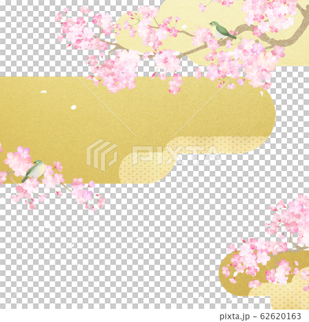 背景 和 和紙 和風 和柄 春 桜 白 金 メジロのイラスト素材 62620163 Pixta