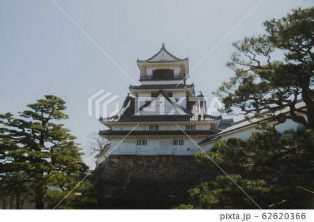 高知城 62620366