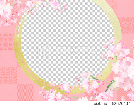 背景 和 和紙 和風 和柄 春 桜 メジロ ピンク フレームのイラスト素材