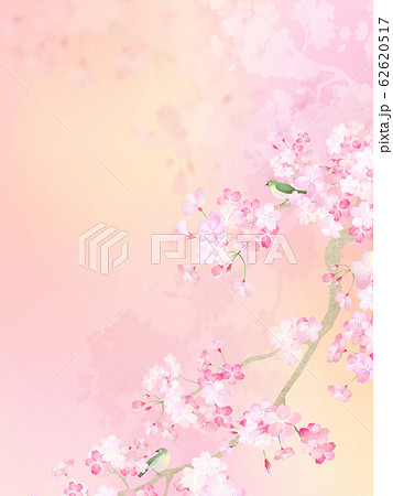 背景 和 和紙 和風 和柄 春 桜 枝 メジロのイラスト素材