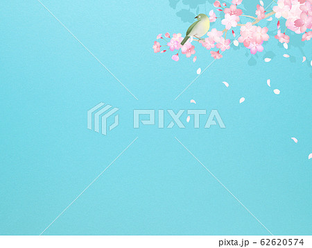 背景-和-和紙-和風-和柄-春-桜-枝-青空-メジロ 背景-和-和紙-和風-和柄-春-桜-枝-青空-メジロ 62620574