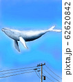 空を飛ぶ鯨 62620842